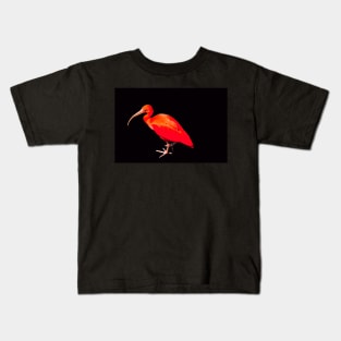 Scarlet ibis on black background Kids T-Shirt